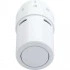DANFOSS Термостат. элементы RAX белый RAL9016 013G6070 DANFOSS Термостат. элементы RAX белый RAL9016 013G6070
