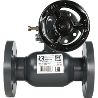 РИДАН RJIP Premium 065N0241R — Кран шаровой FF DN100 PN16 WG (фланцевый, с редуктором, стандартный проход) 065N0241R
